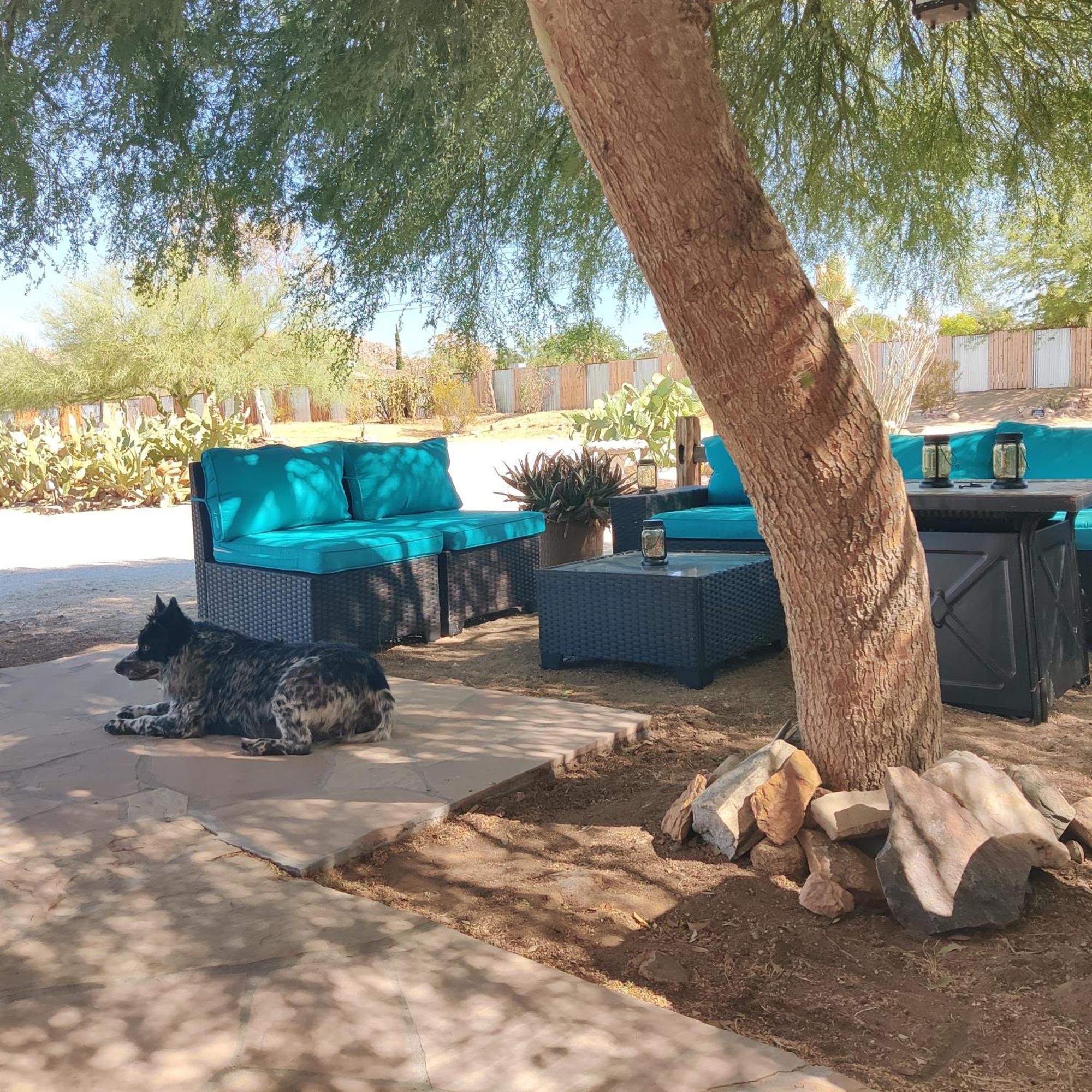 Joshua Tree Ranch House Motel - Downtown - Room #8 Ngoại thất bức ảnh
